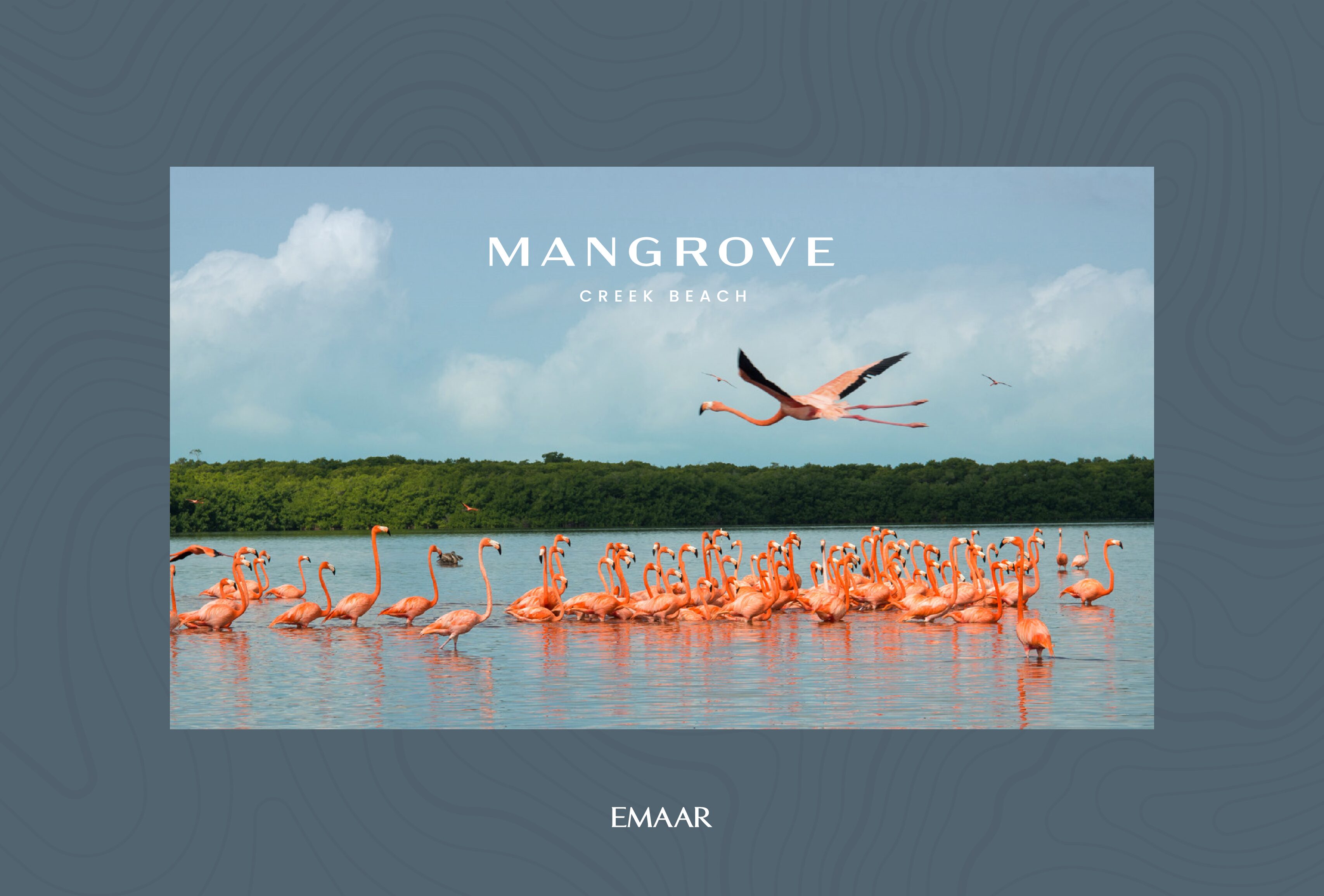 EMAAR-MANGROVE-BROCHURE